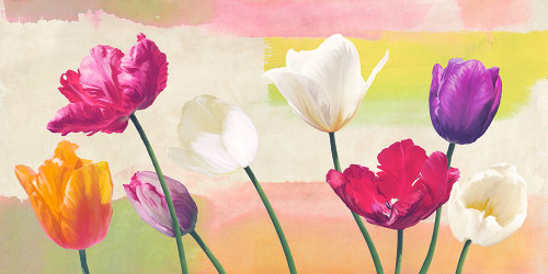 Florilegium Poster Print - Teo Rizzardi (24 x 12)