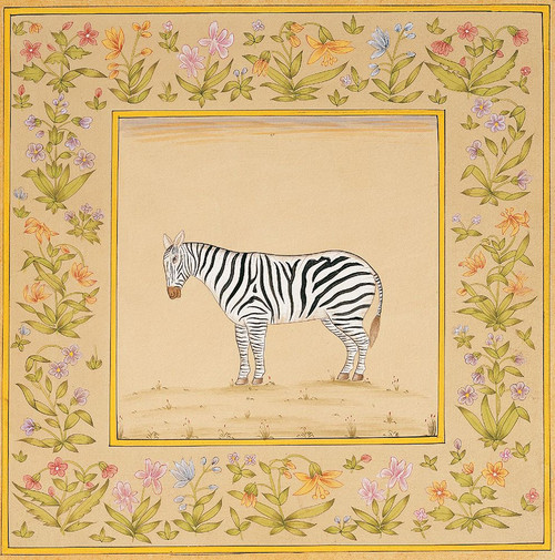Zebra Poster Print - Unknown (12 x 12)