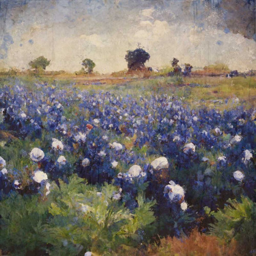 Texas-Bluebonnets I Poster Print - Marta Wiley (24 x 24)