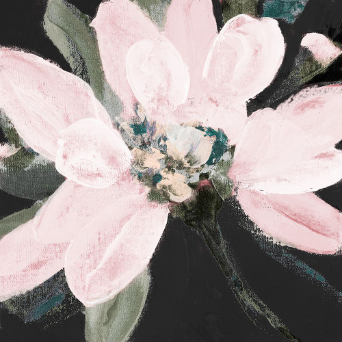Dark Blooming Moment II Poster Print - Lanie Loreth (24 x 24)
