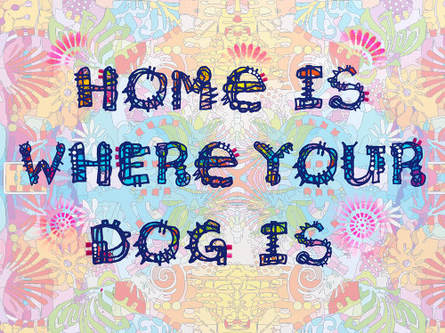 Home Is Where Your Dog Is Poster Print - Dean Russo (24 x 18)