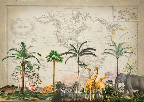 Wild Animals Paradise Poster Print - Andrea Haase # VARPDX82934