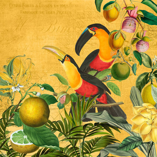 Exotic Birds Jungle Poster Print - Andrea Haase # VARPDX82924