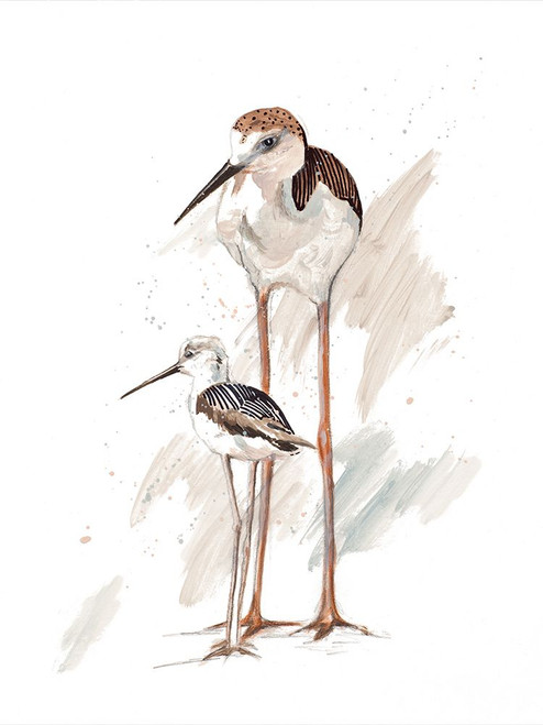 Stilt Birds I Poster Print - Patricia Pinto (12 x 16)