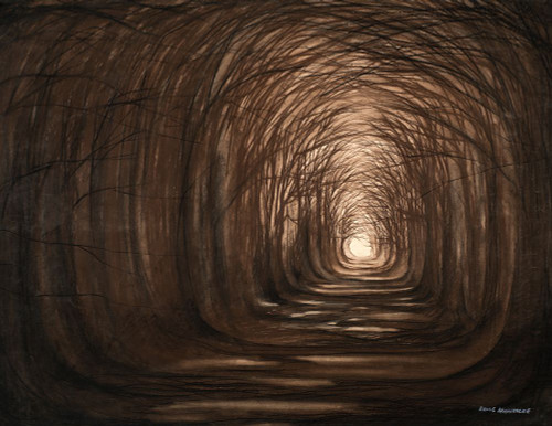 Sundown In A Forest Poster Print - Bruce Nawrocke # VARPDX17565D