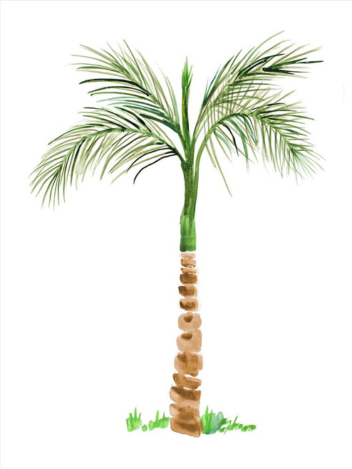 The Palm II Poster Print - Julie DeRice (12 x 16)