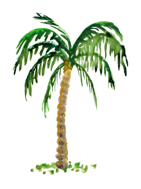 The Palm I Poster Print - Julie DeRice (12 x 16)