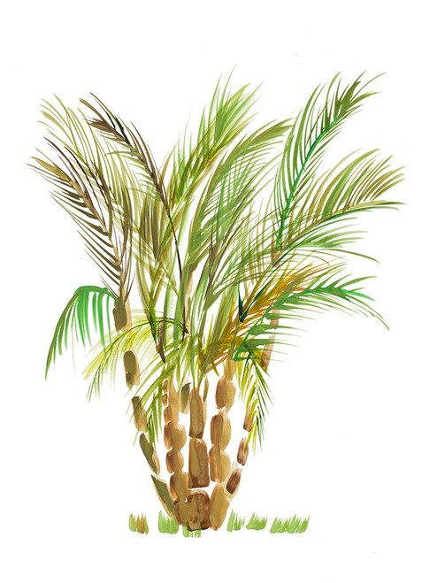 The Palm IV Poster Print - Julie DeRice (24 x 32)