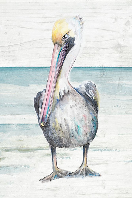 Pelican On The Shore I Poster Print - Patricia Pinto (24 x 36)