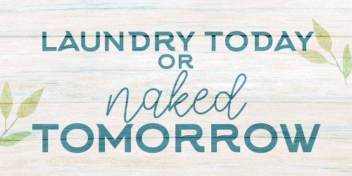 Laundry or Naked V2 Poster Print - Kimberly Allen