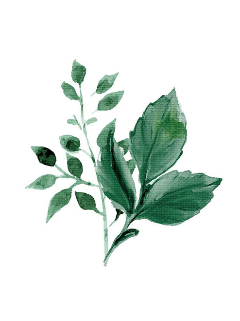 Green Springs 2 Poster Print - Kimberly Allen