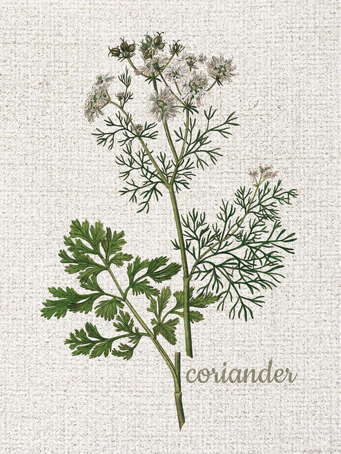 Linen Botanical 2 Poster Print - Kimberly Allen