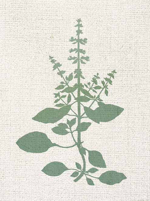 Linen Branches 3 Poster Print - Kimberly Allen