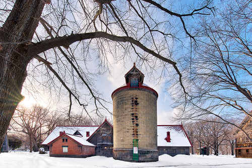 Hokkaido Landscape No.8 Poster Print - Alan Blaustein
