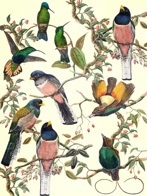 Chorus Poster Print - Ann Bailey