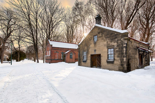 Hokkaido Landscape No.3 Poster Print - Alan Blaustein