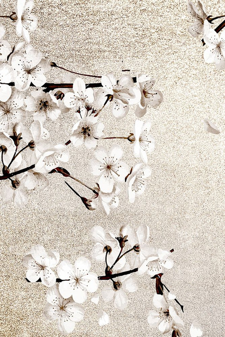 Neutral Magnolia Branches 2 Poster Print - Kimberly Allen