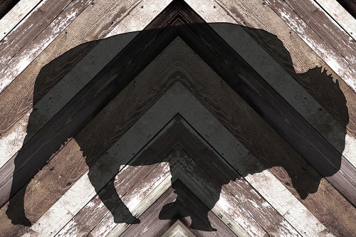 Bison Planked Poster Print - Kimberly Allen