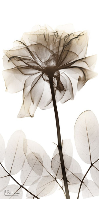 Spirited Treatment 2 Poster Print - Albert Koetsier