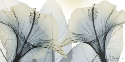 Attractive Service 2 Poster Print - Albert Koetsier