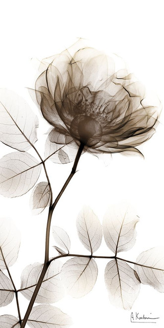 Spirited Treatment 1 Poster Print - Albert Koetsier