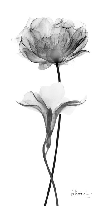 Silent Direction 1 Poster Print - Albert Koetsier