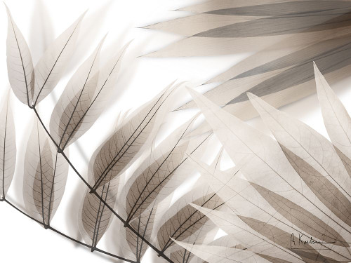 Creative Friendship V2 Poster Print - Albert Koetsier