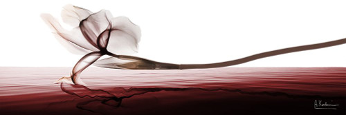 Distorted Solution 1 Poster Print - Albert Koetsier