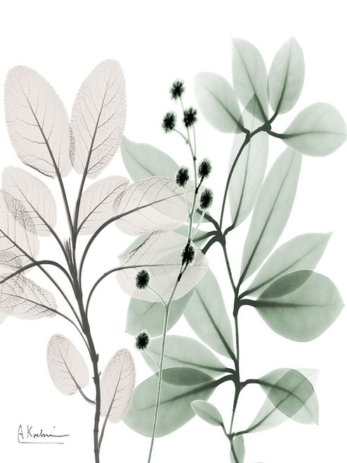 Northern Opposites 1 Poster Print - Albert Koetsier