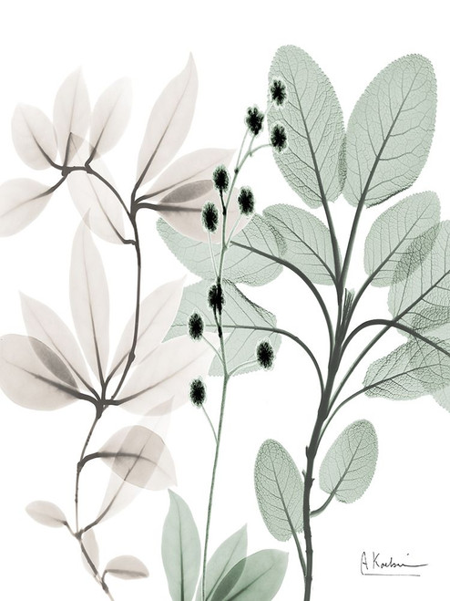 Northern Opposites 2 Poster Print - Albert Koetsier