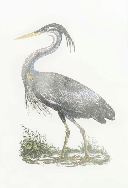 Silver Foil Heron II with Hand Color Poster Print - John Selby