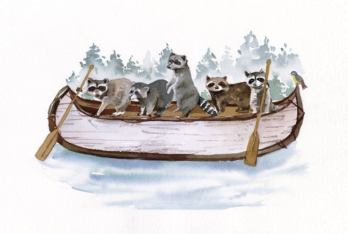 Raccoon Canoe Adventure Poster Print - St. Studios Masey