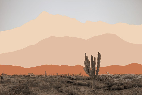 Sunset Joshua Poster Print - Norm Stelfox