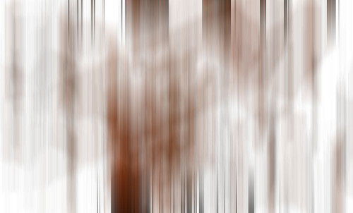 Veil Poster Print - Norm Stelfox