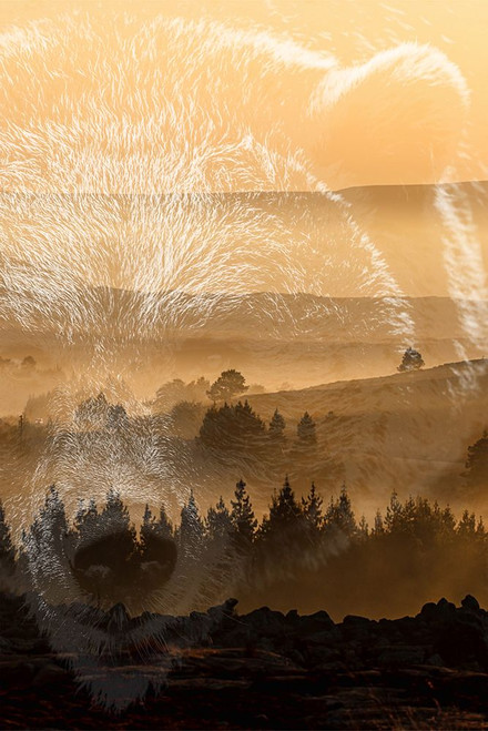 Prowling Beast Poster Print - Marcus Prime