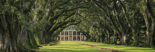 Oak Alley Plantation Panorama Poster Print - Martin Podt