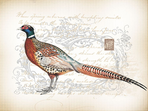 Pheasant Birds 2 Poster Print - Bijoux and Lula