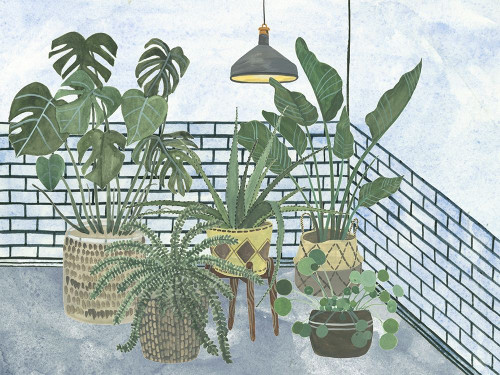Mes Plantes Collection A Poster Print - Melissa Wang