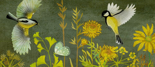 Birding Collection H Poster Print - Chariklia Zarris