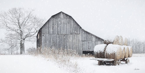 The Winter Supply Poster Print - Lori Deiter