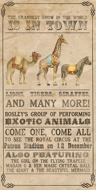 Vintage Circus Collection B Poster Print - Grace Popp