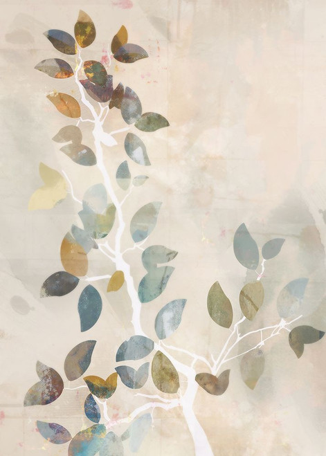 Maple Canopy I Poster Print - Ken Roko