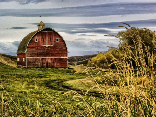 Palouse Barn Poster Print - Colby Chester