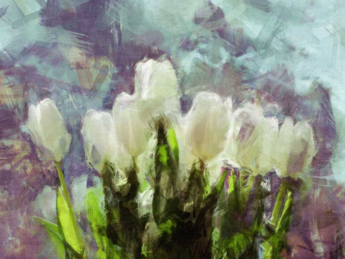 Sunlit Tulips II Poster Print - Noah Bay