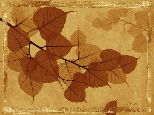 Ghost Leaves I Poster Print - Noah Bay