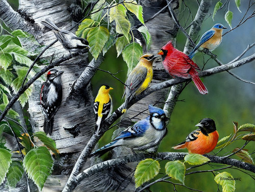 Wild Birds Poster Print - Kevin Daniel