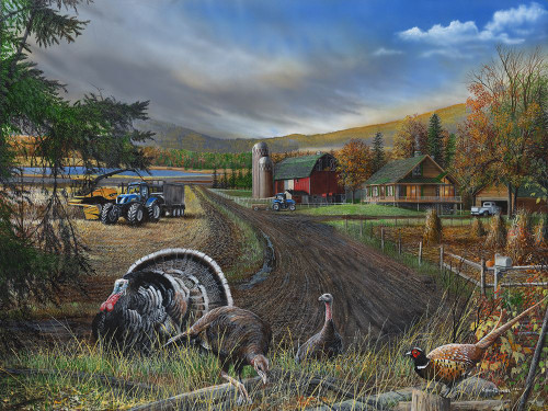 Turkey and Blue Tractors Poster Print - Kevin Daniel