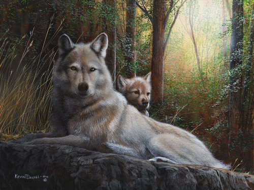Recumbent Wolves Poster Print - Kevin Daniel