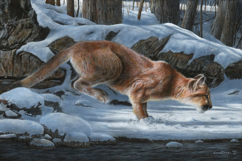 Out Of The Shadows Poster Print - Kevin Daniel