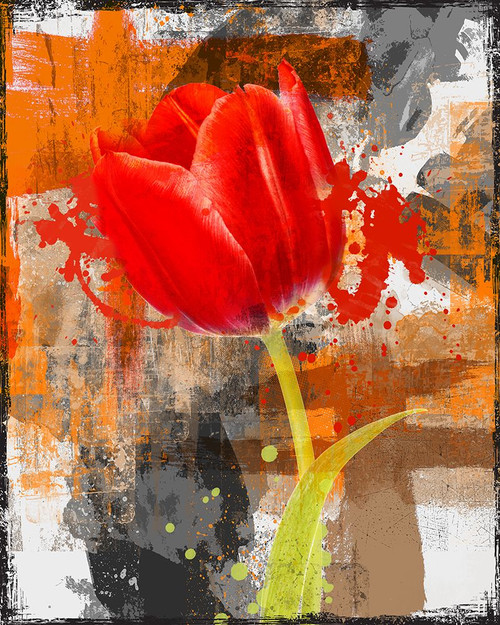Red Tulip Poster Print - Micha Baker